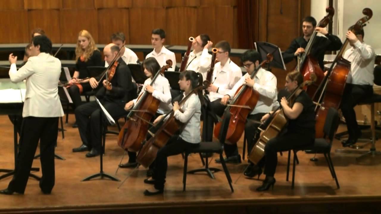 Orkestar Srednje muzicke skole 