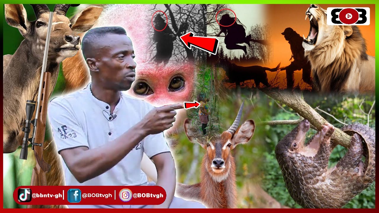Very SCÄRY😱:Into the dark forest as hunter saw woman(WITCH) cutting palm nut to prepare soup @night