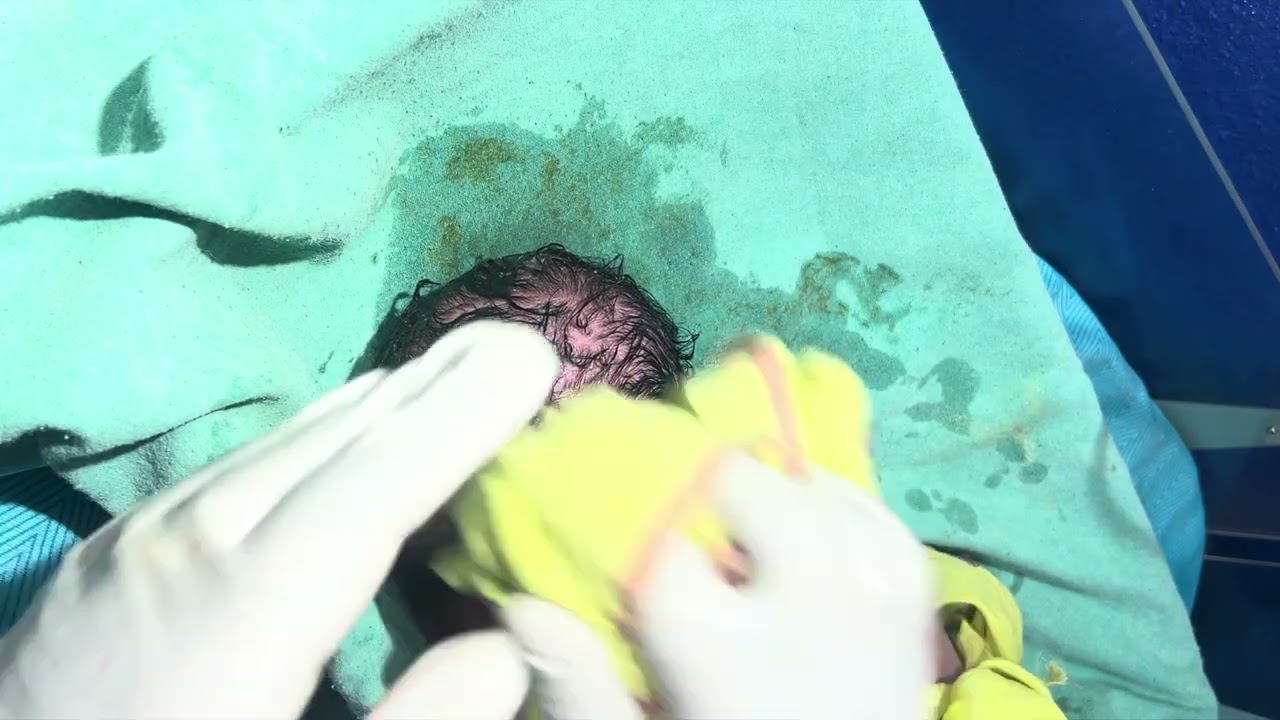 🙏 Bhagwan Ne Khud Bheja Hai Ye Baby #Bantuyadavg #cutebaby #viralvideo 