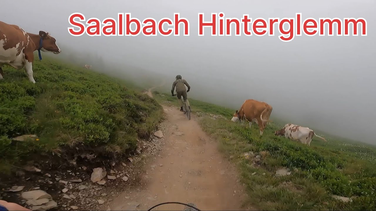 Saalbach Hinterglemm Hackelberg Trail/ Buchegg Trail - Bjarne Dickebohm