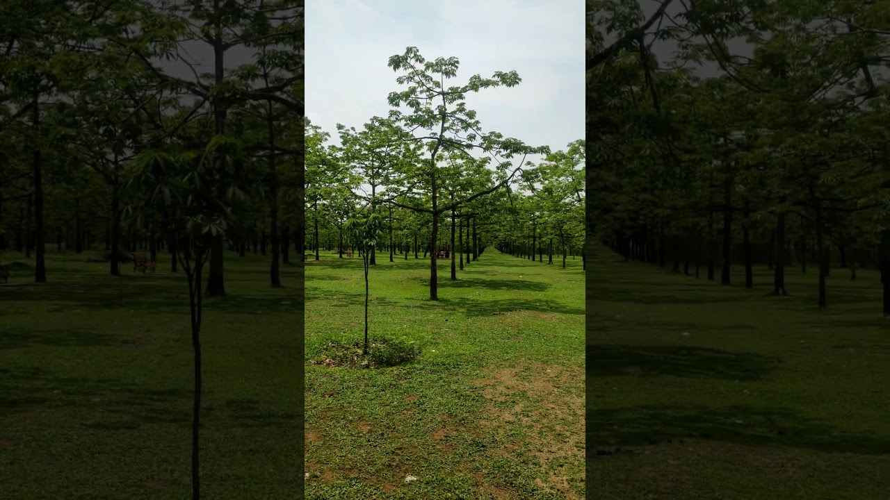 Shimul Garden, Sunamganj