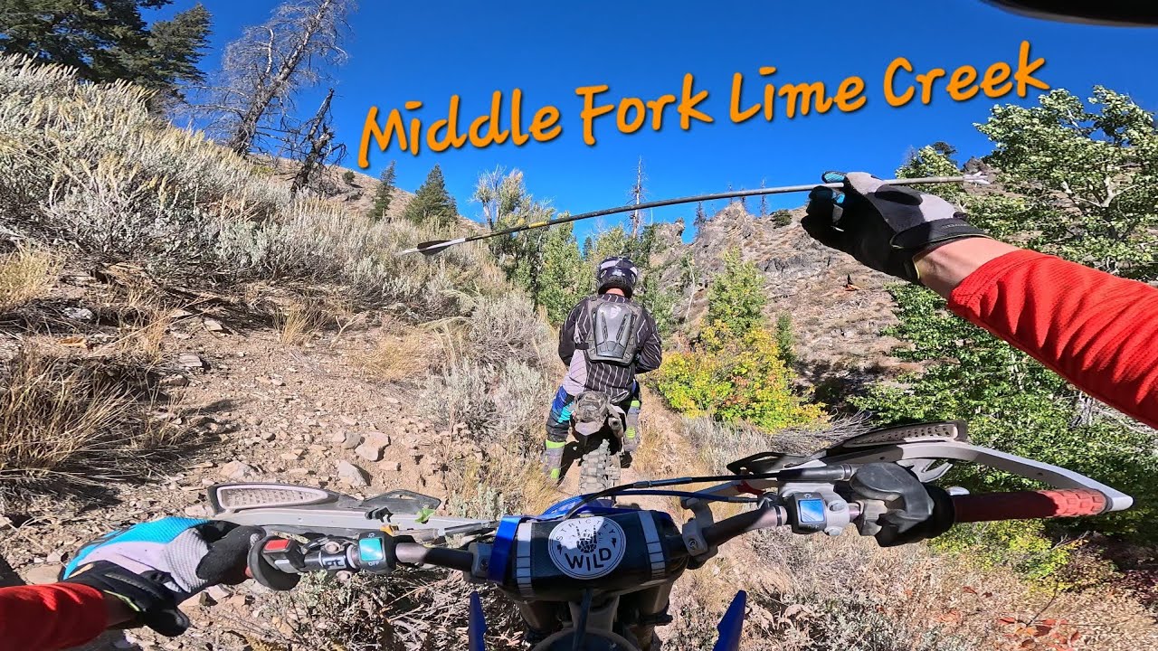 Middle Fork Lime Creek / Sawtooth National Forest 