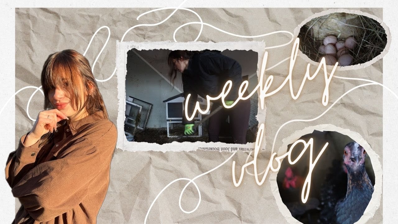 Weekly vlog - food haul, sprzątanie u kur i jajka niespodzianki !