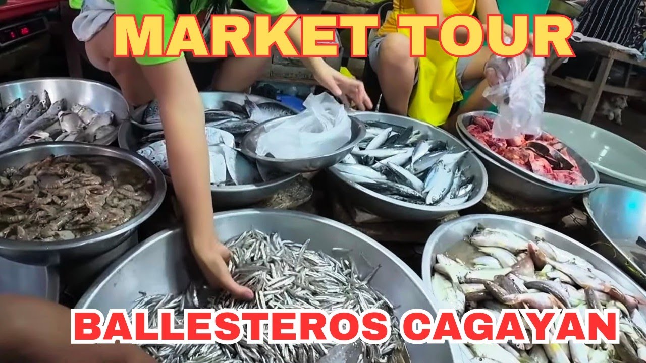 | December 2023 | UPDATE !!! | Ballesteros, Cagayan Market Scenario