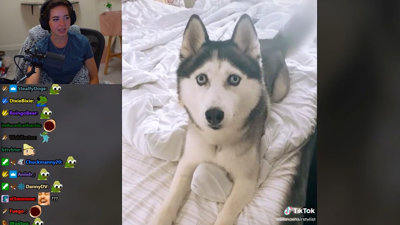 Maya reacts to animal Tik Toks