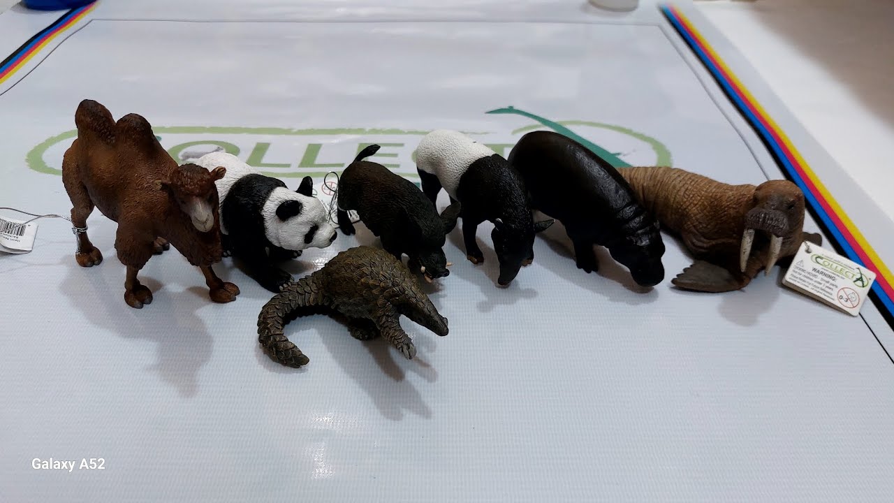 Collecta unboxing Animals _ Gift 🎁 of Friend 😍