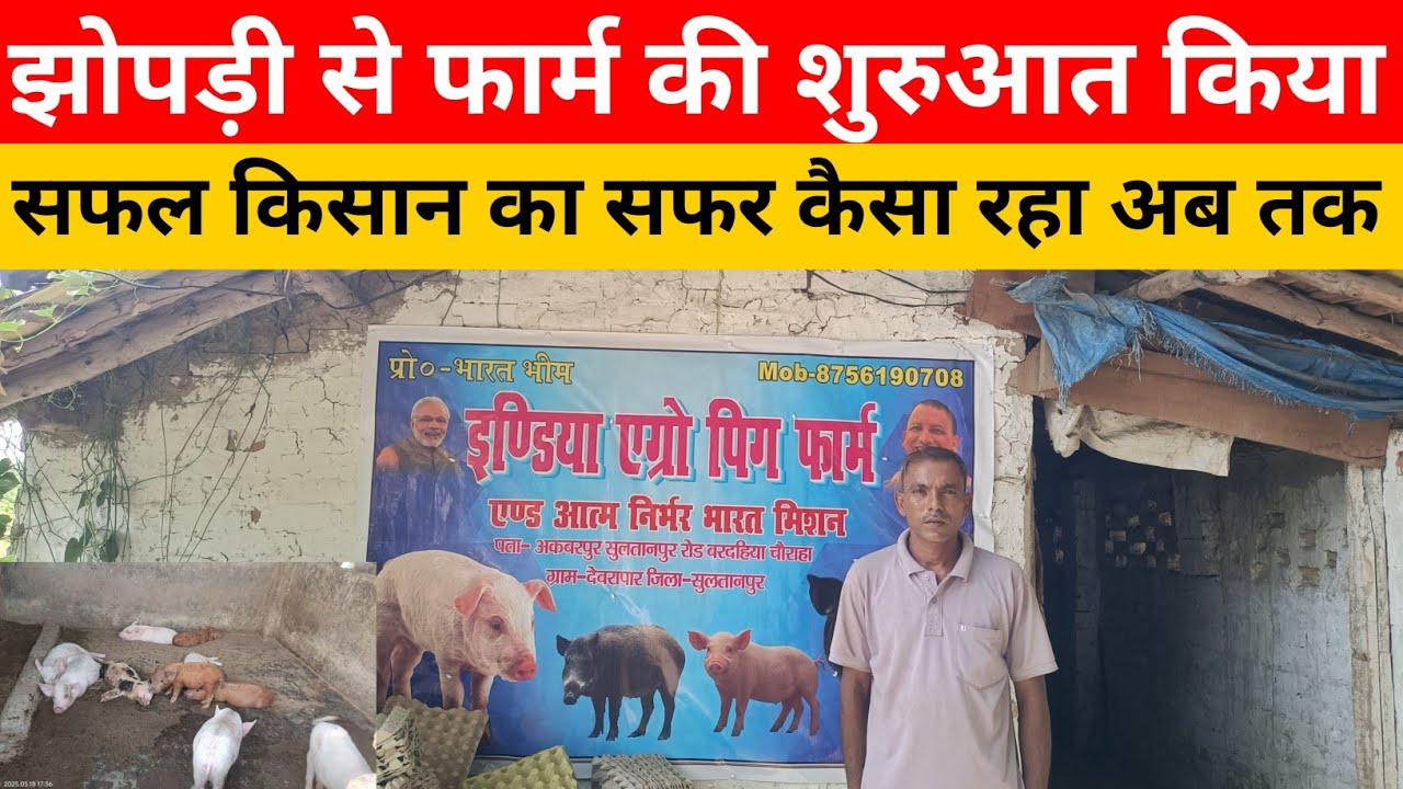 झोपड़ी से सूअर फार्म शुरुआत किया काफी संघर्ष कर किया | अब तक सफर कैसा रहा सम्पूर्ण जानकारी 🤑🤑