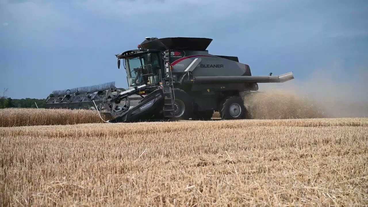 New Gleaner S97 with MacDon FD235combining Wheat in Wisconsin