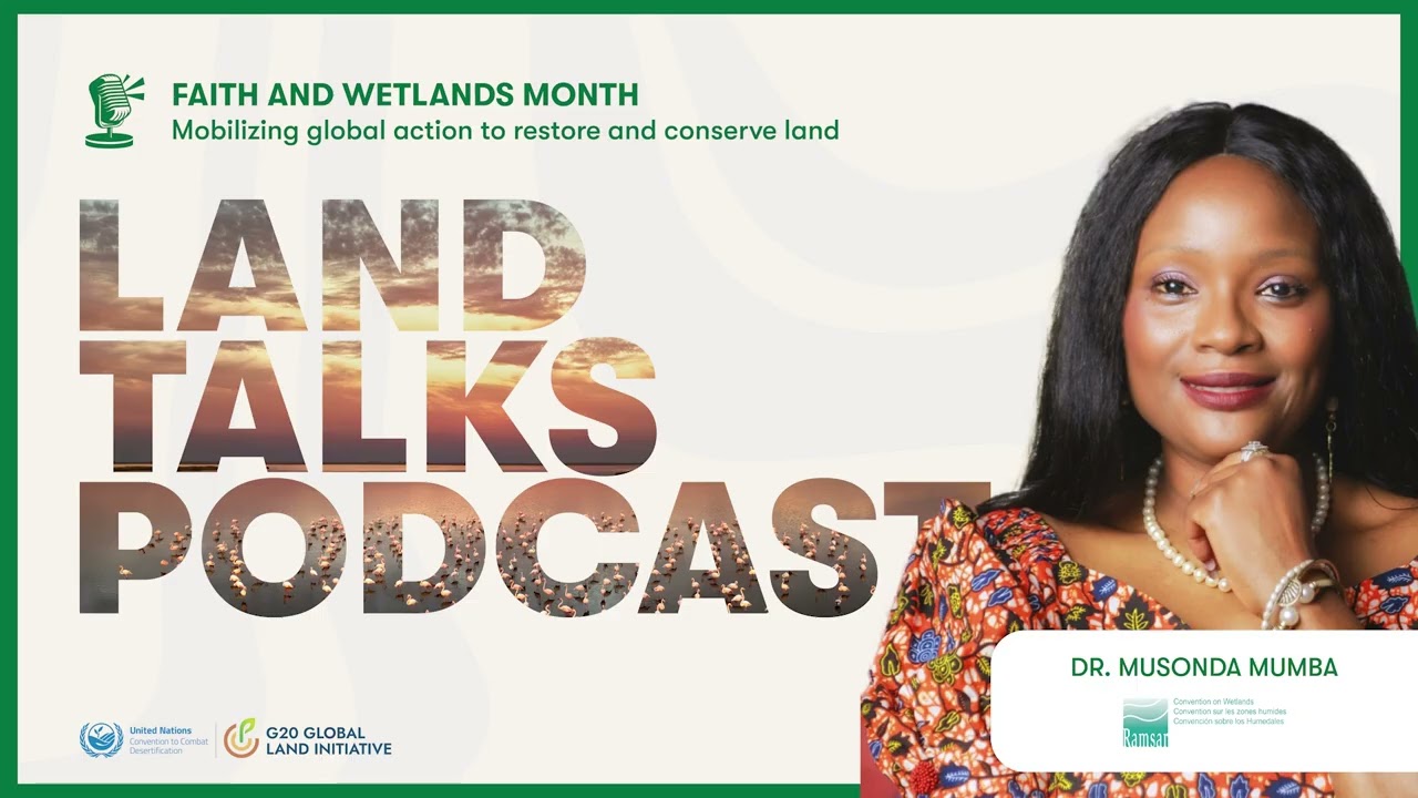Why The Wetlands Ecosystem Is Disappearing—And How Most People Don’t Even Notice