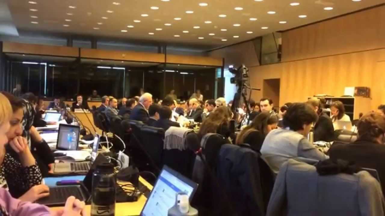 Azerbaijan's chief of penal systems speaking before the UN Committee against Torture.