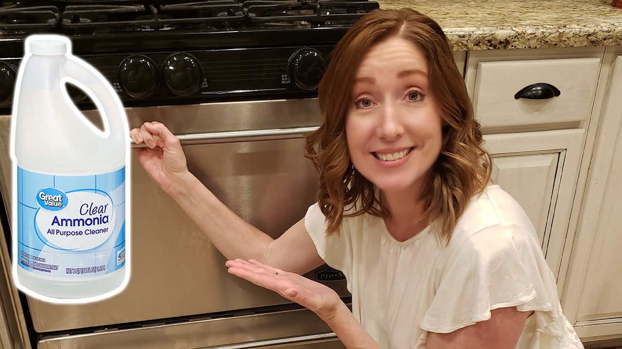 Easy Way Clean your Oven When You Don't Feel Like Scrubbing