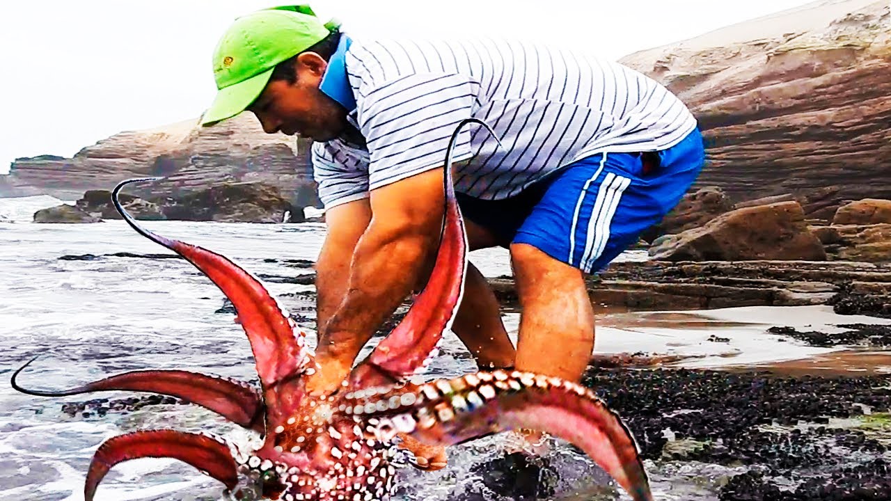 Instantes ASOMBROSOS de pesca que JAMÁS imaginaste ver en Video