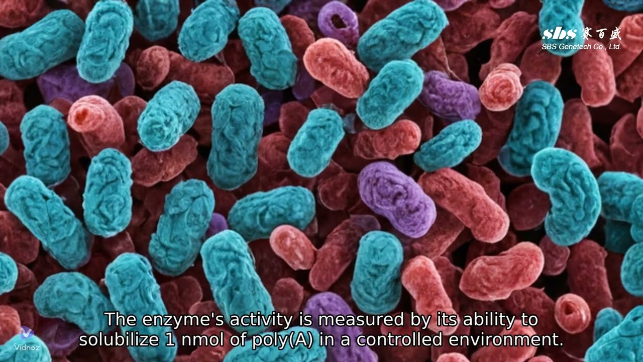 Understanding RNase H in 60 Seconds