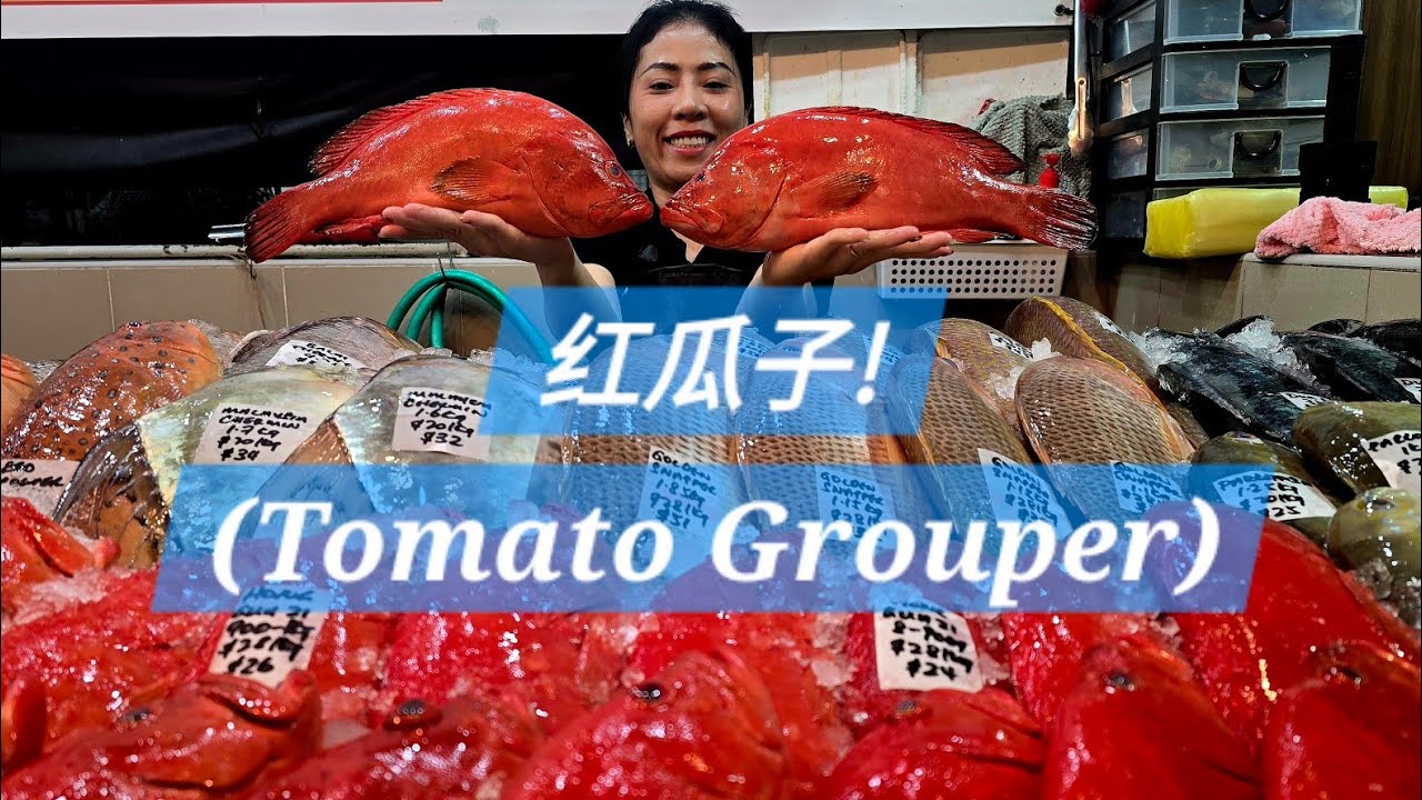 Hong Gua Zi - Tomato Grouper! (3 Mar 2026 Tues)
