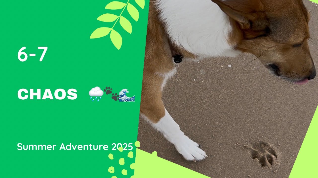 Day 6–7: Rain, Wind & Beach Chaos 🌧️🌊 | Dogs vs Nature