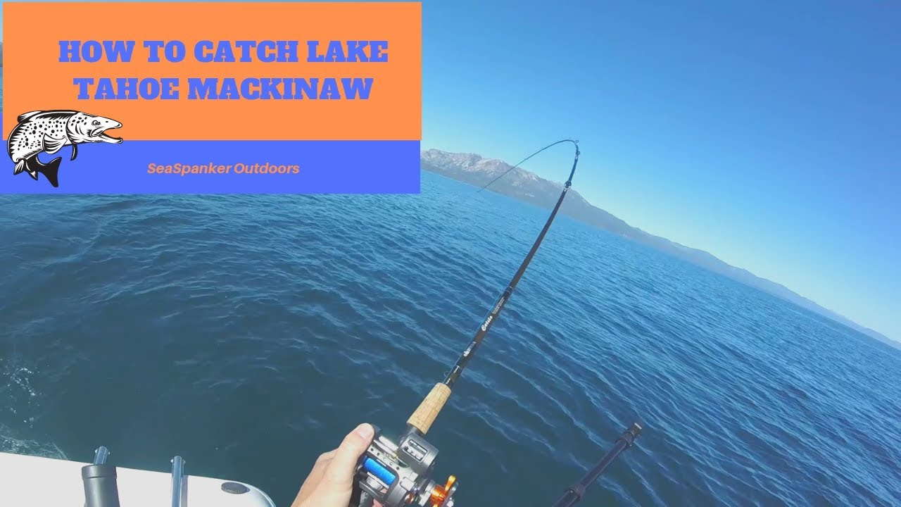 How to Catch Lake Tahoe Mackinaw