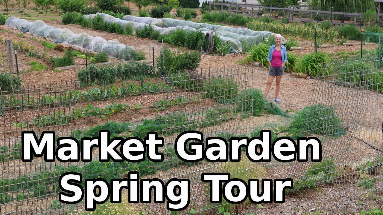 Walk Through our Spring Market Garden - June 2023.  Everything is growing well.  #marketgardening