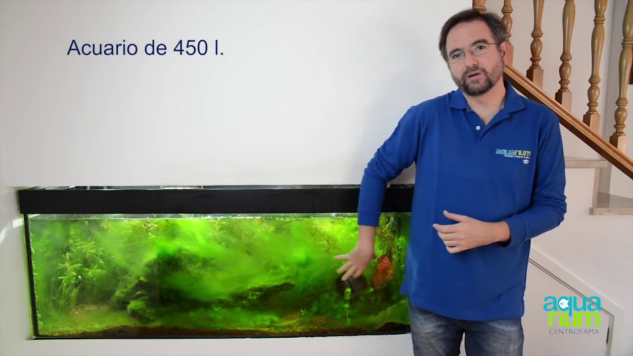Eliminar ALGAS ACUARIO partiendo de 0 (1/3) AQUARIUM CENTROFAMA