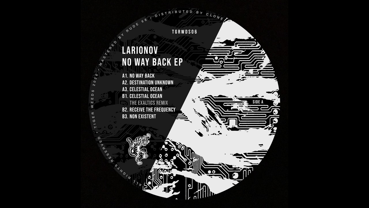 Larionov -- Celestial Ocean