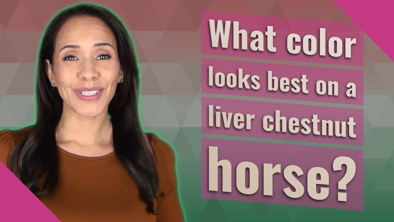 What color looks best on a liver chestnut horse?