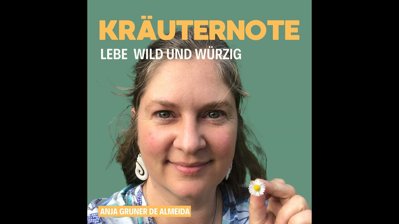 Aruda aus Brasilien - Weinraute gegen den bösen Blick