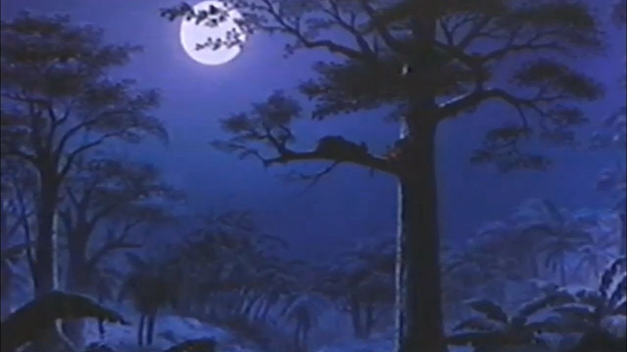 Vintage Disney ambience(jungle book) - jungle sounds at night
