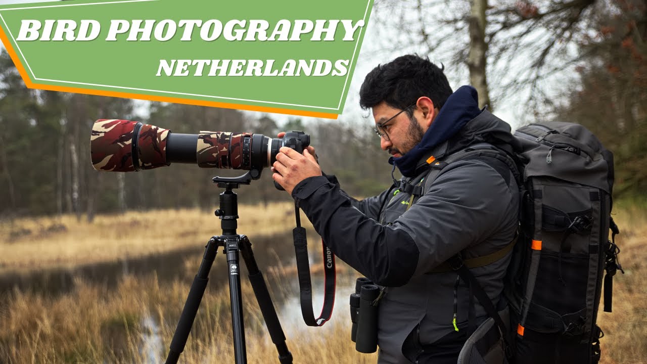 The Essence of Bird Photography #1|  Leersumse Veld with Kem de Leon