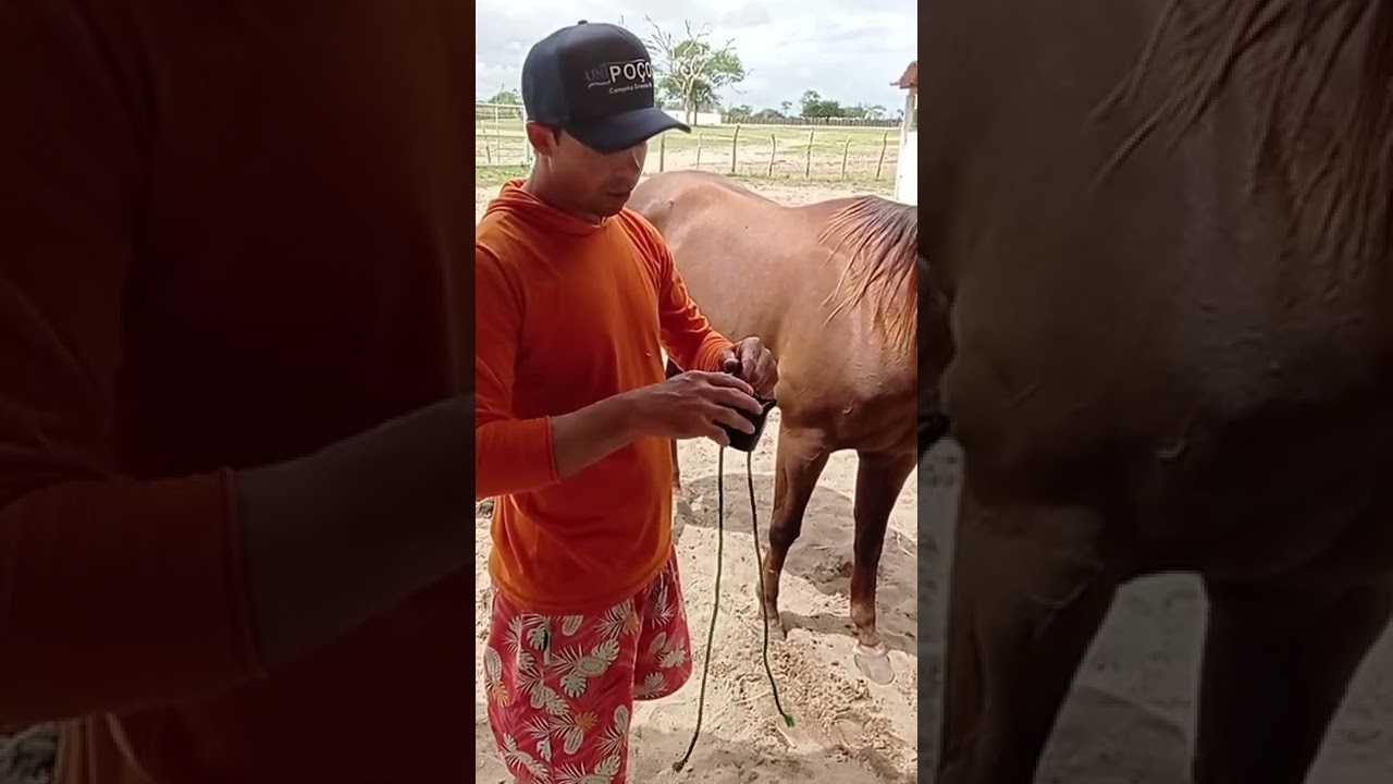 COMO COLOCAR UM CLOCHE DE MANEIRA FÁCIL E RÁPIDO