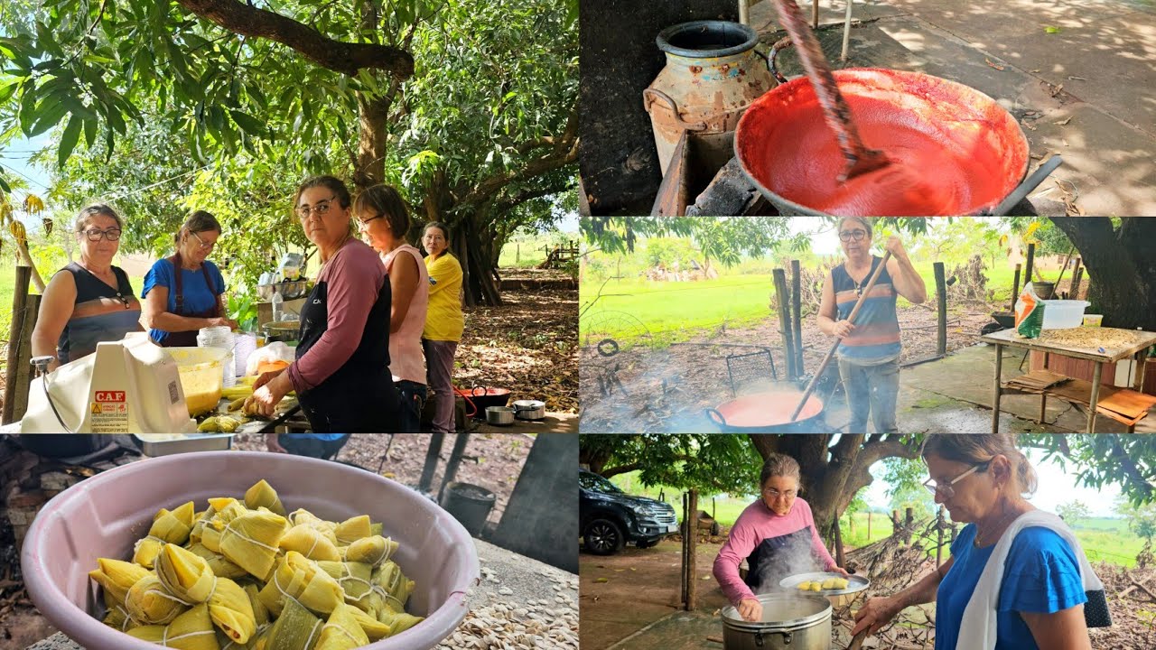 MUITO TRABALHO NA ROÇA | FIZEMOS GOIABADA E PAMONHAS 