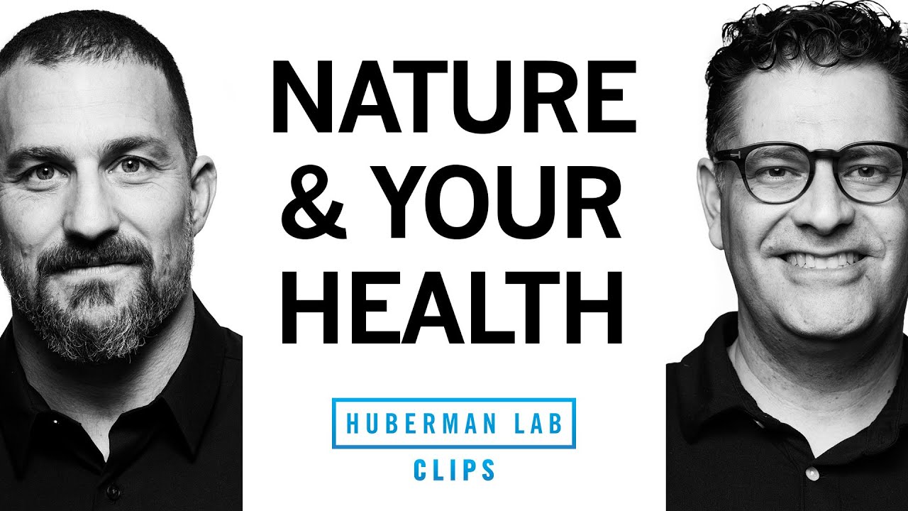 How Nature Improves Your Physical Health | Dr. Marc Berman & Dr. Andrew Huberman