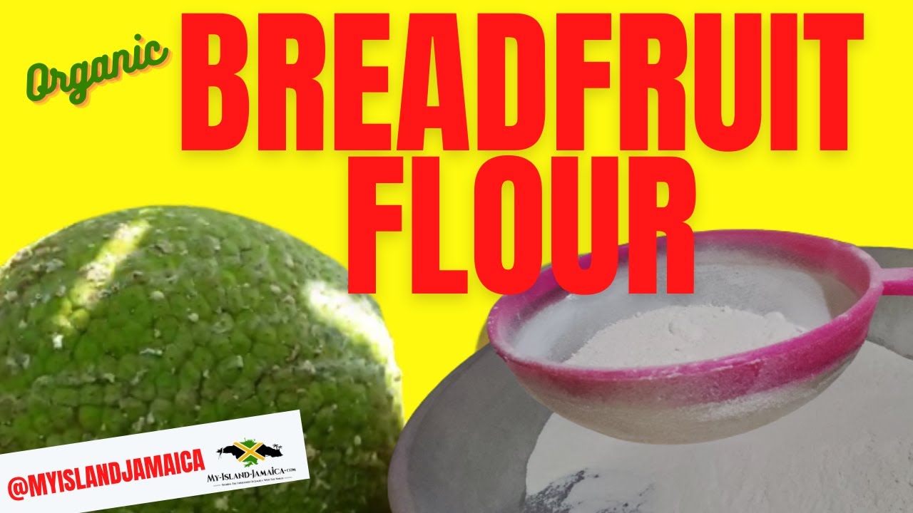 How to Make BREADFRUIT FLOUR - You'd NEVER Guessed It Was This EASY! 