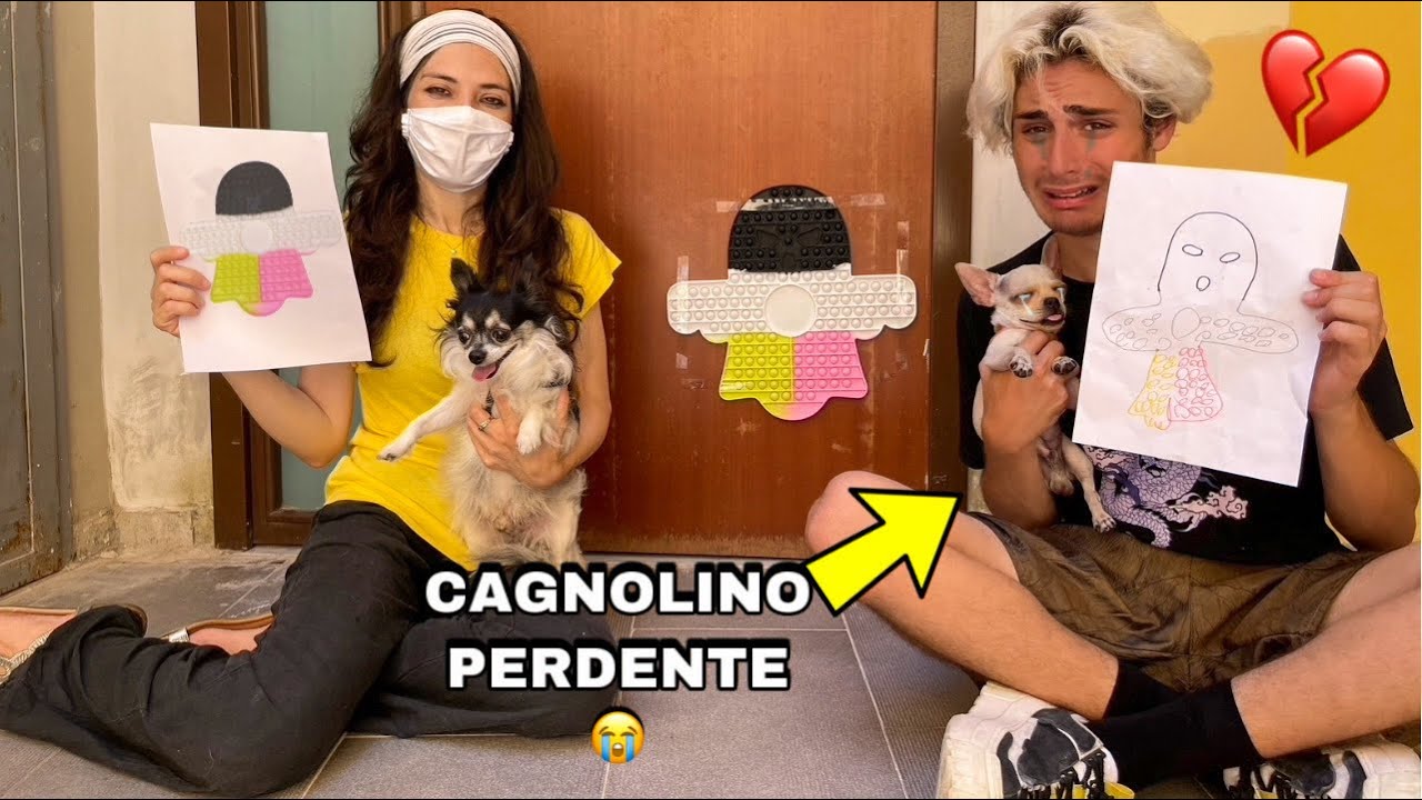CHI DISEGNA IL POP IT PIÙ BELLO LO VINCE CONTRO IL MIGLIOR AMICO DEL NOSTRO CAGNOLINO!! *triste*