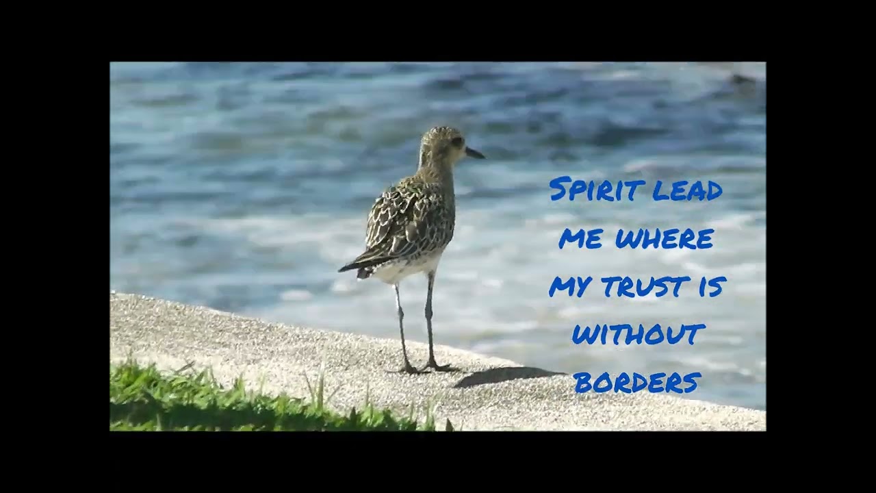 Oceans by United Hillsong, trip to Maui 2013