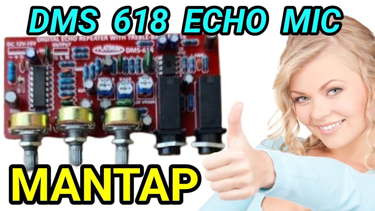 Echo Mic DMS 618