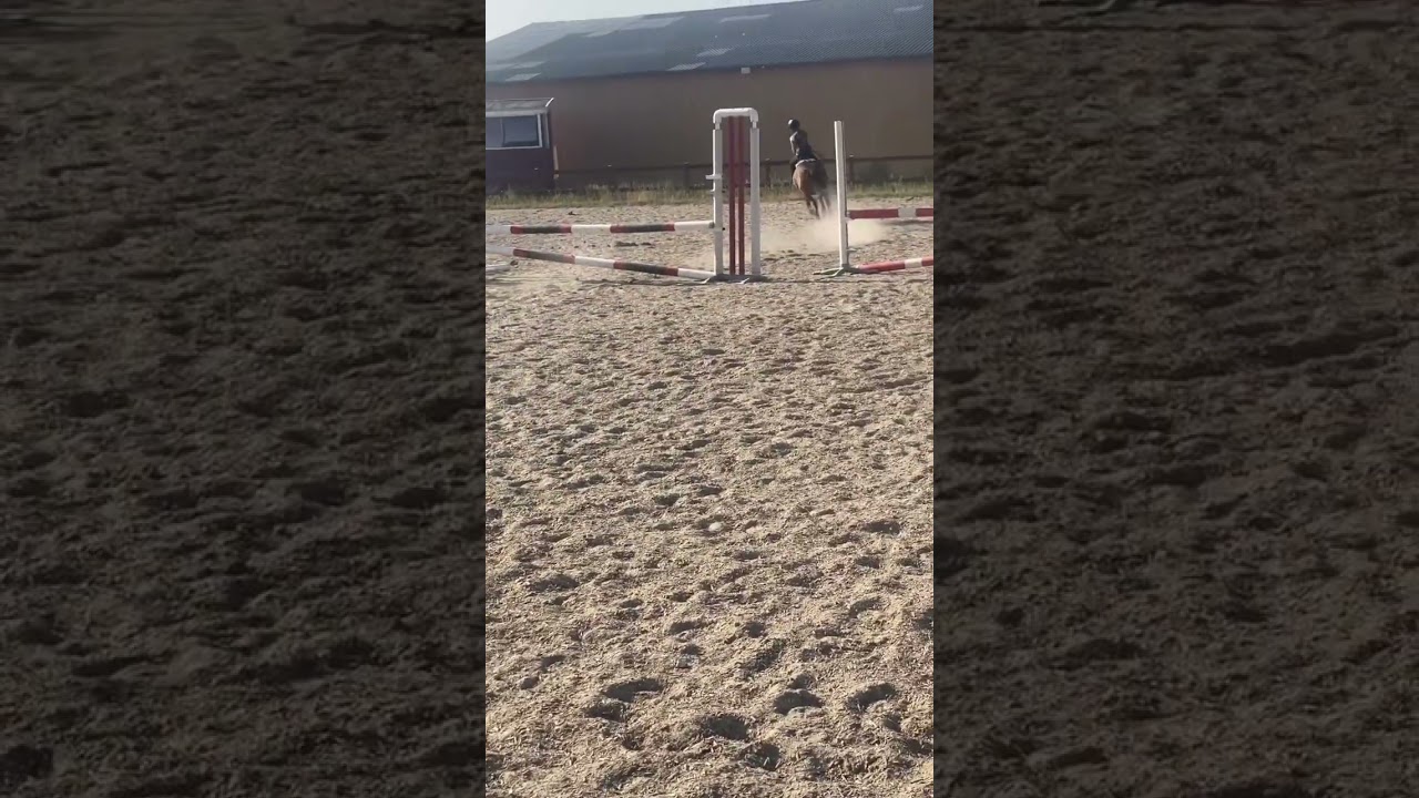 Speedyyyy yesterday 