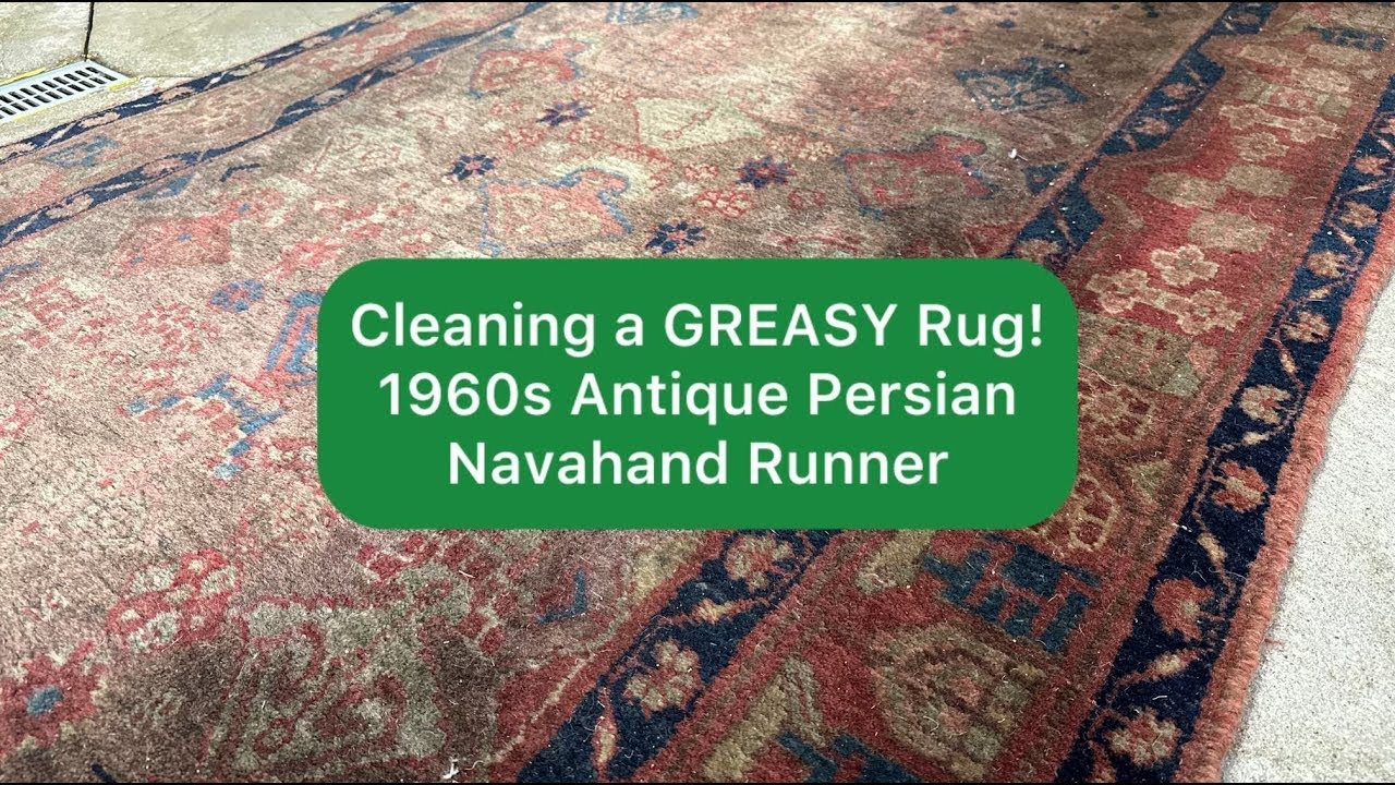 Cleaning a GREASY Rug | 1960s Antique Persian Nahavand Rug #rugcleaning #oddlysatisfyingvideos