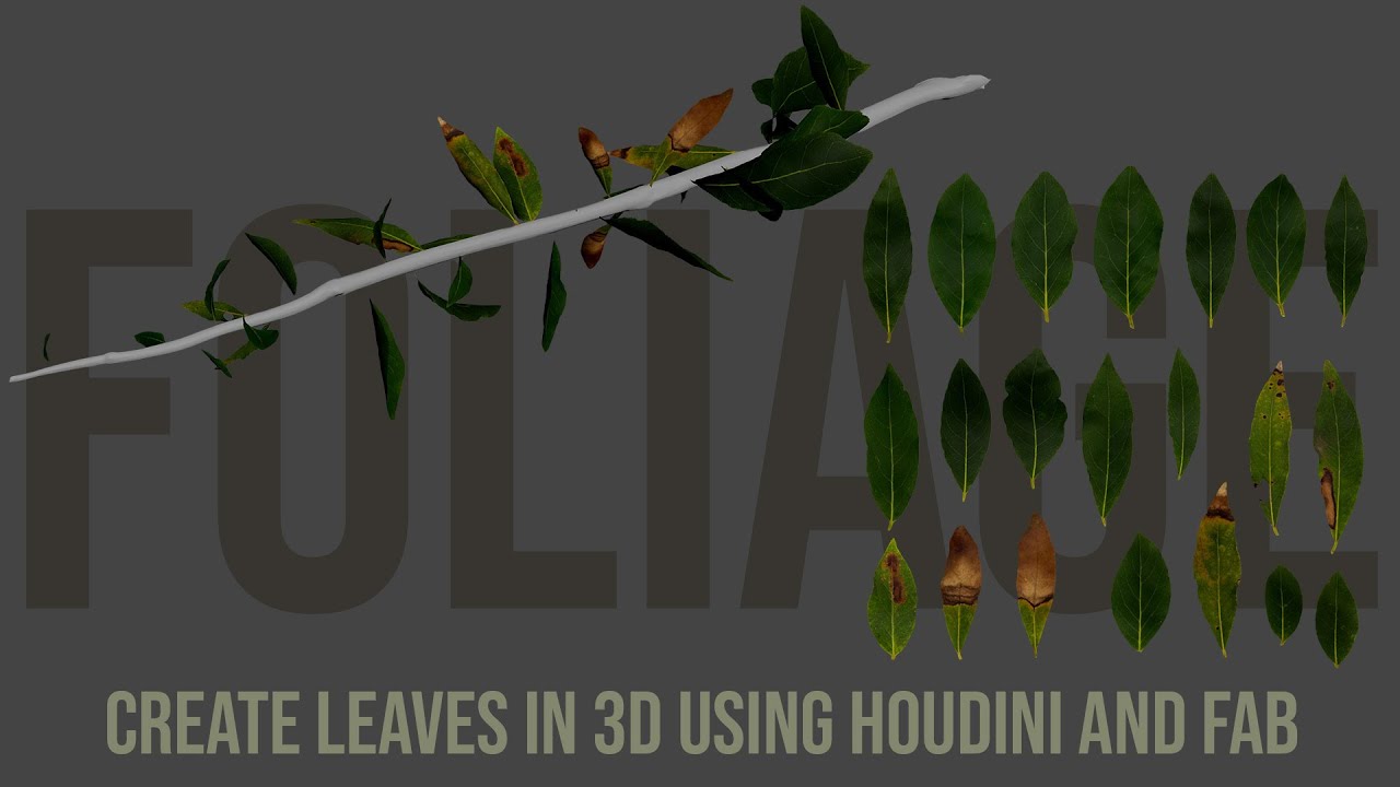 How to Create Leaves in Houdini