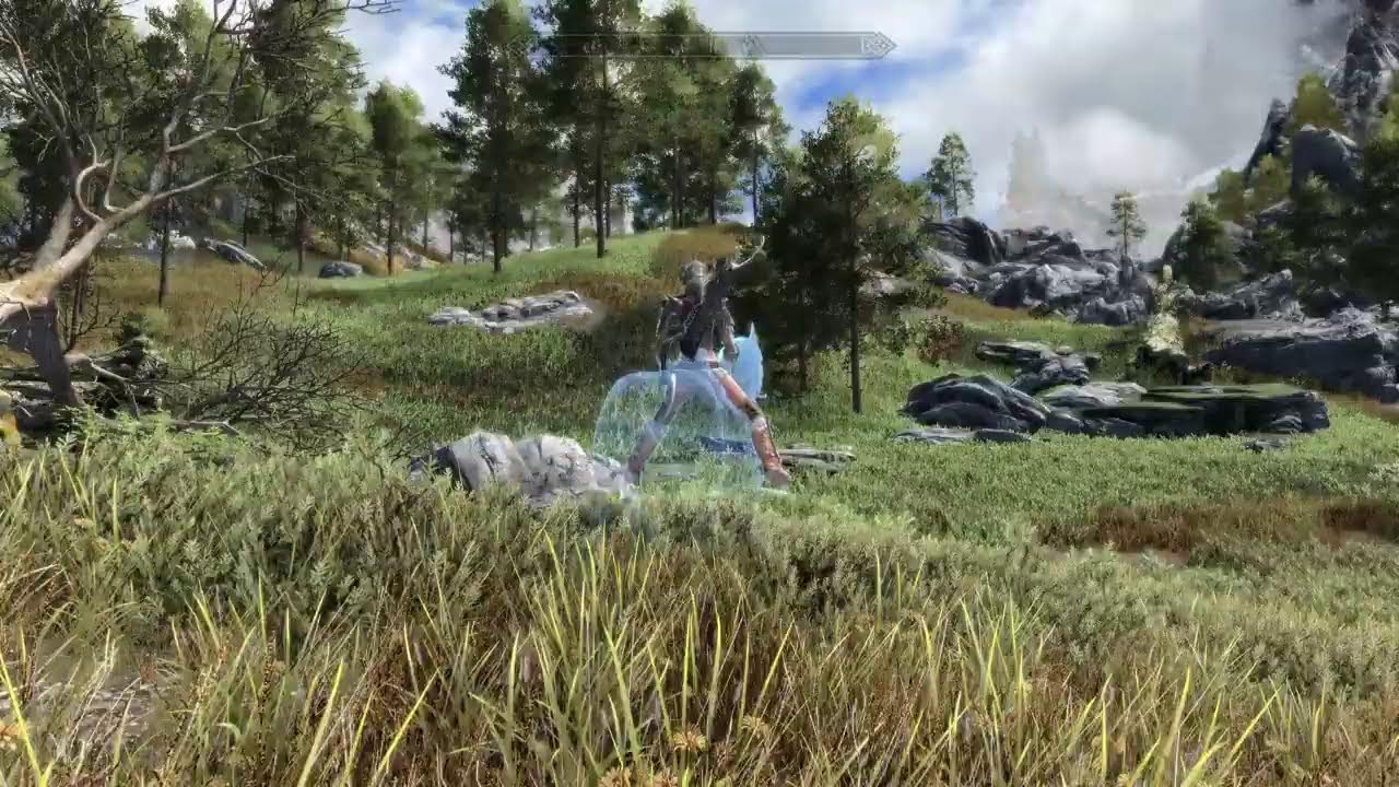Skyrim