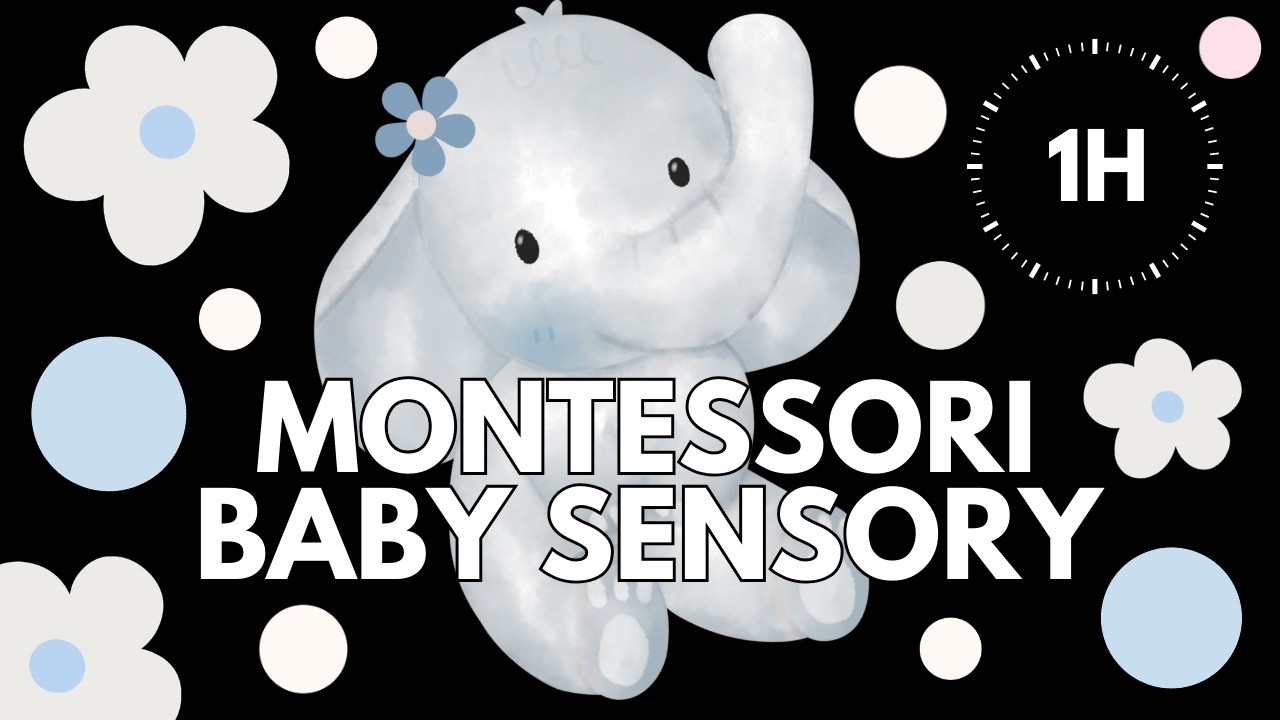 Montessori Baby Sensory 🐘 | Calm Play Series | Low Stimulation Music for Babies | 1 Hour