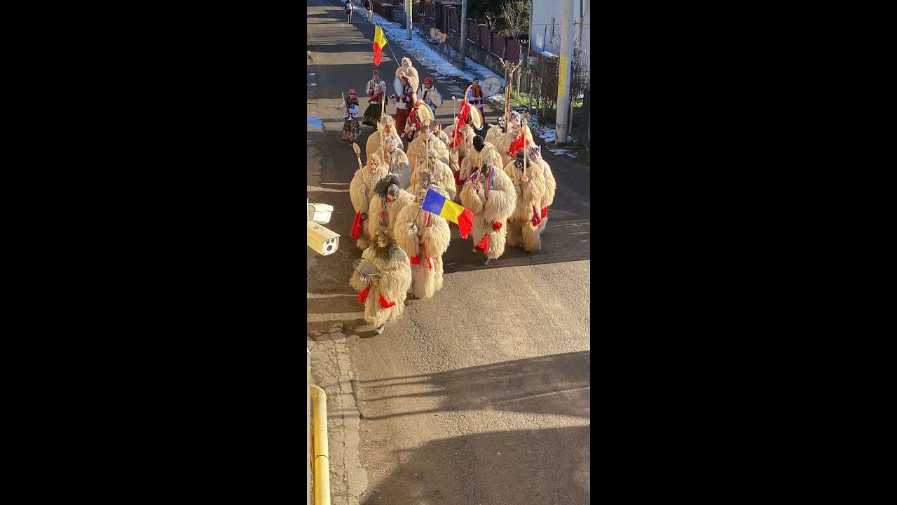 Ursii din Burdujeni - Suceava