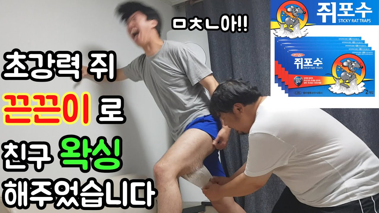 초강력 쥐 끈끈이로 조지기ㅋㅋㅋㅋㅋㅋ