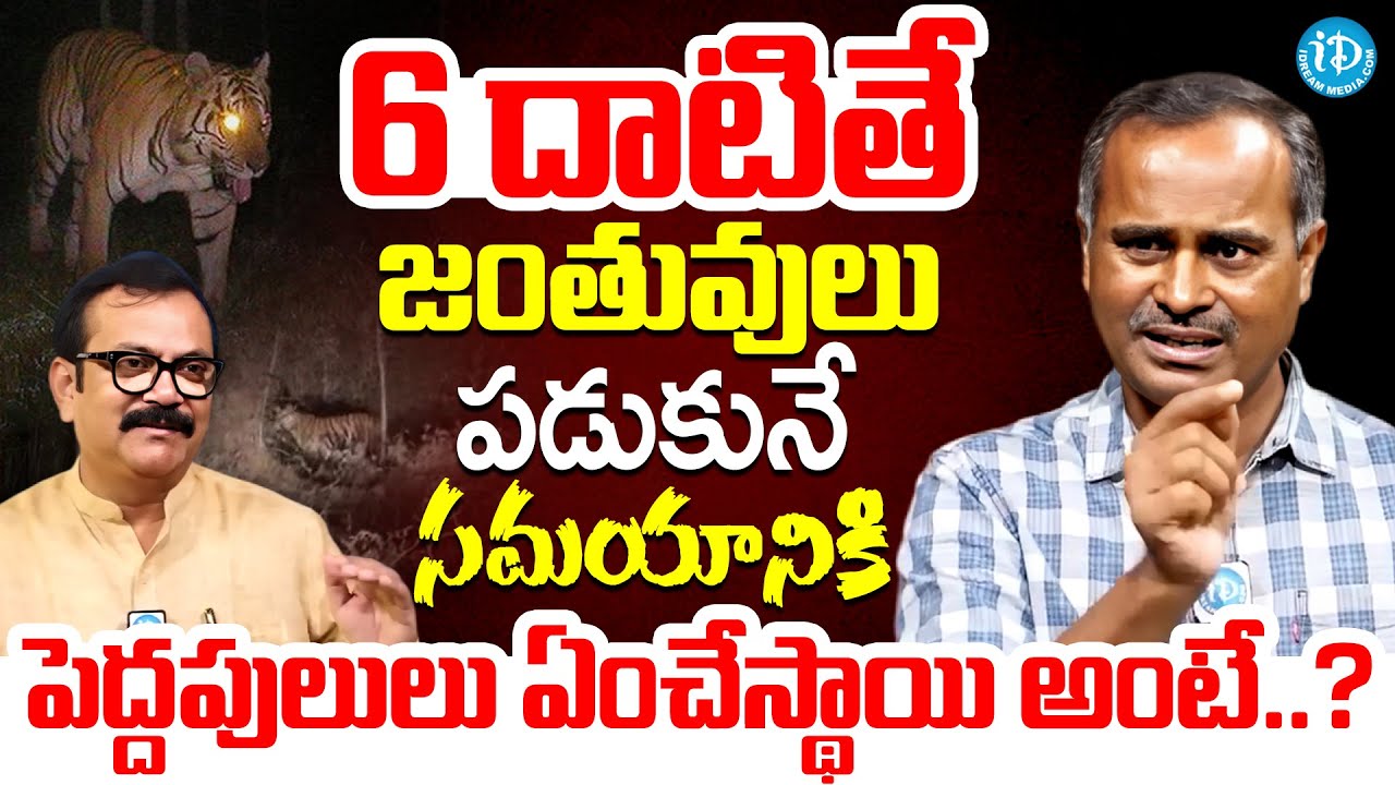 పెద్దపులులు ఏంచేస్థాయి అంటే ...? | Forest Range Officer Ram Mohan About Tiger Attack On People
