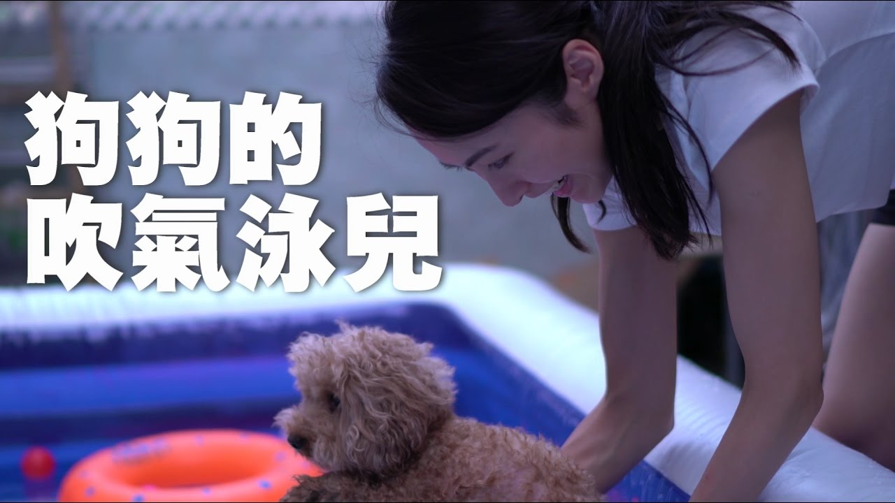 淘寶開箱 狗狗的吹氣泳兒 ㊣ 洪卓立 湯怡