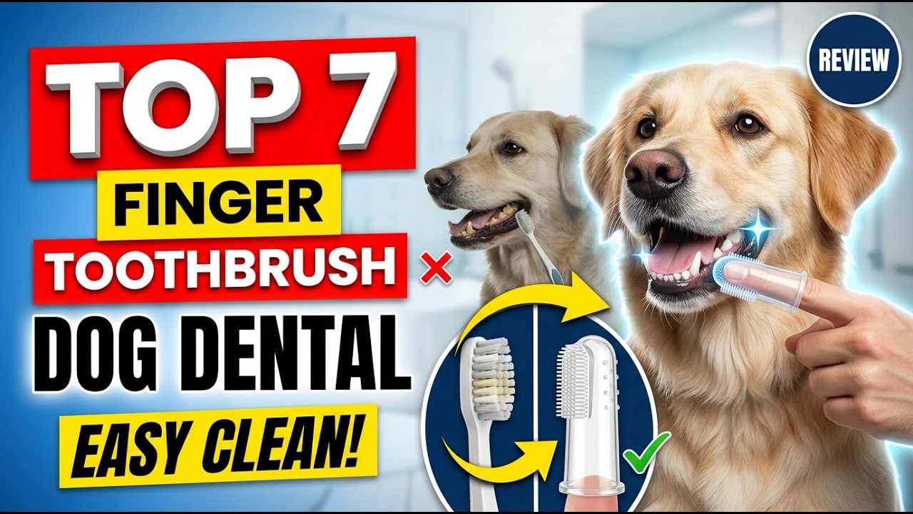 Top 7 best dog toothbrush finger design review guide 2026 latest update (Exclusive) urgent oral care