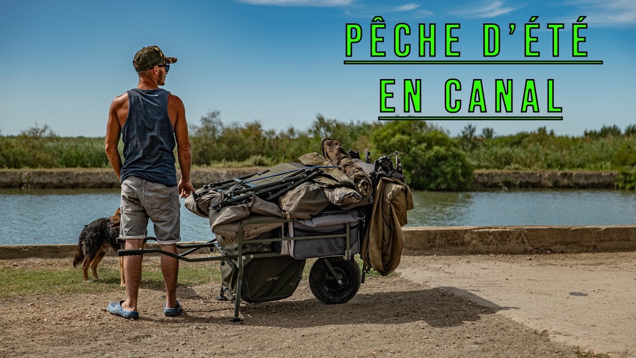 Road trip d'été en canal ~ Pêche de la carpe ~ Carpe Style