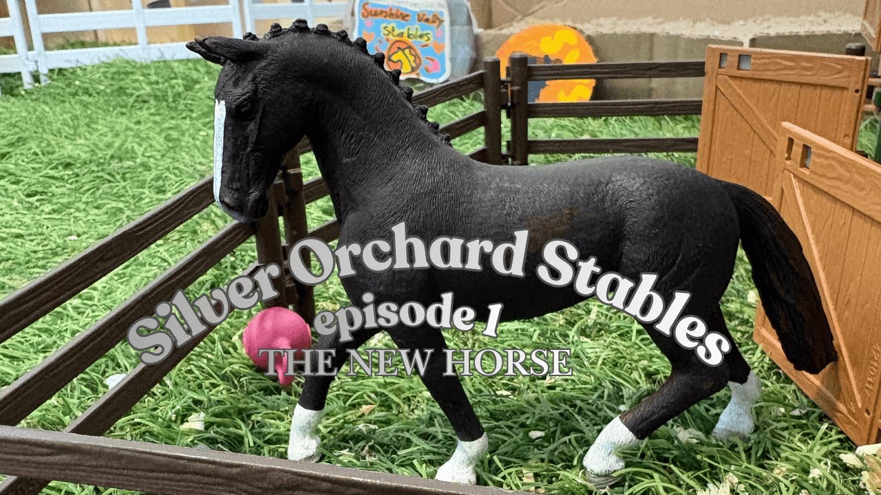 Silver Orchard Stables ~ episode one~ the new horse~ an original series by Sunshine Valley Stables ~