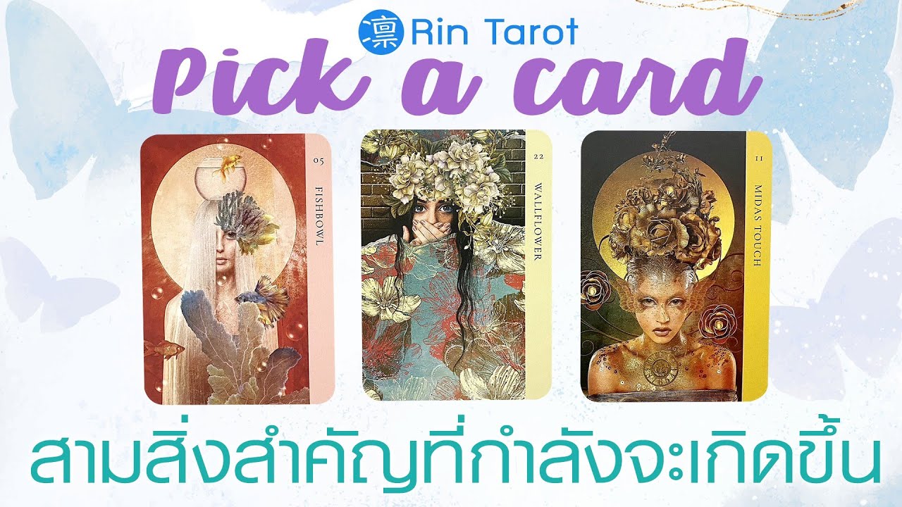 Pick a Card สามเรื่องสำคัญที่กำลังจะเกิดขึ้น ภายใน 6 เดือน และความเปลี่ยนแปลงที่จะเกิดขึ้นกับชีวิต