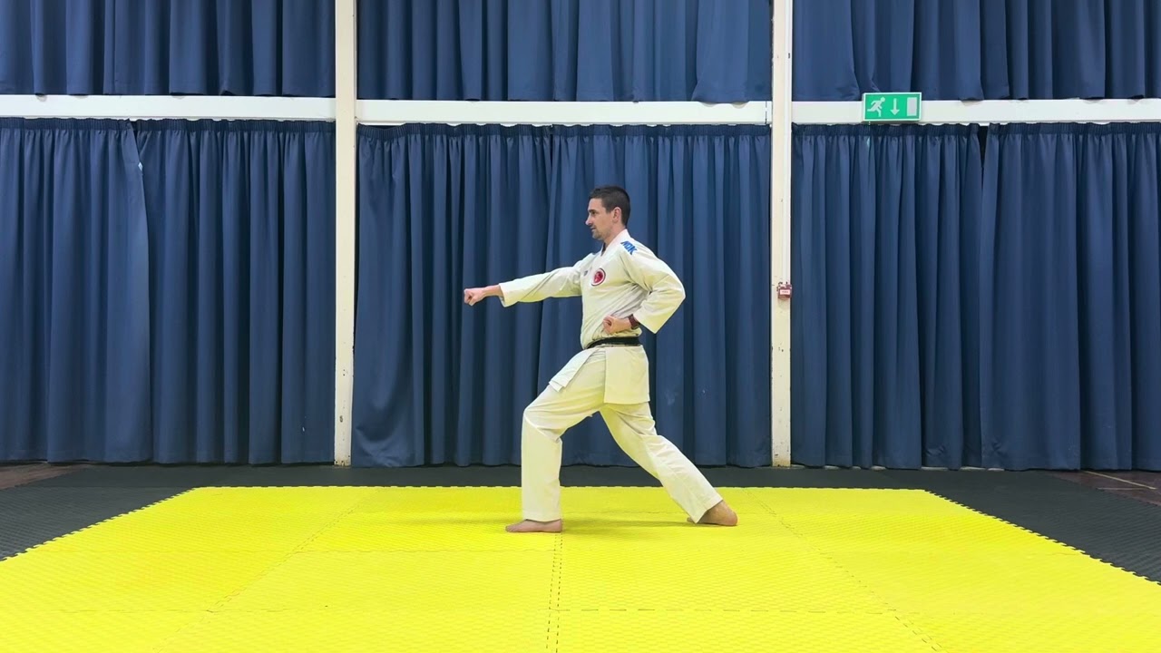 Niseishi - kata tutorial 2025