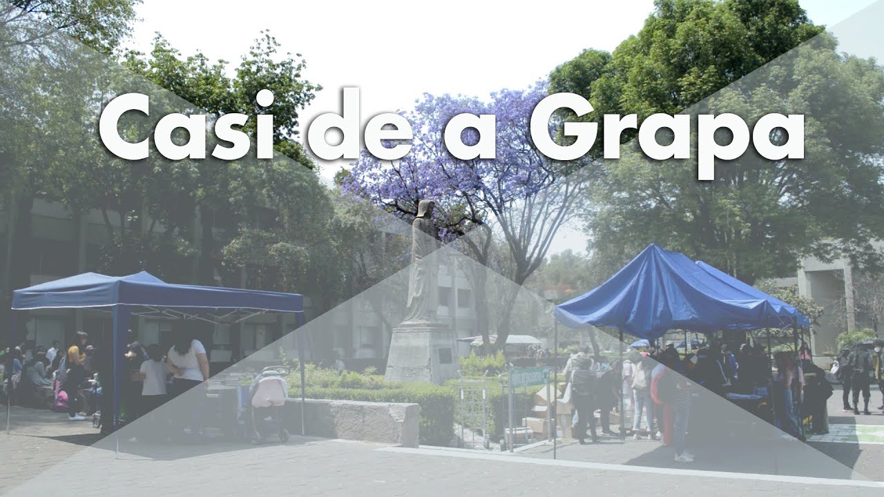 Casi de a grapa 2da edición