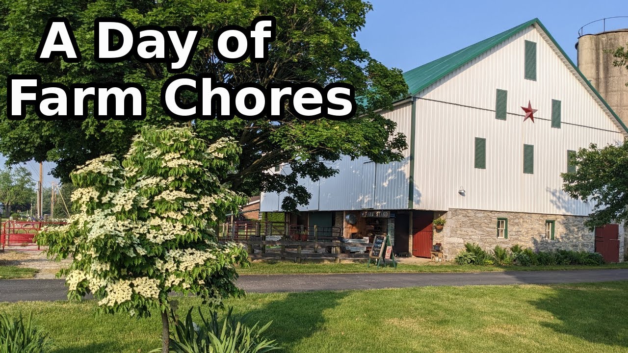 Typical Summer Day Chores on the 1840 Farm / Homestead  #LifeOnTheHomestead